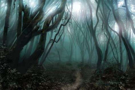 Spooky Forest Wallpaper - WallpaperSafari