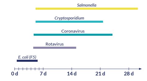 Scours in calves: which are the main pathogens behind?