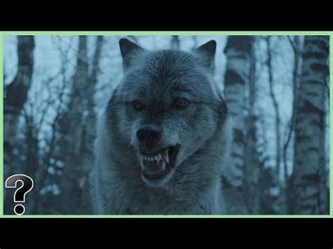 Why did the dire wolf go extinct? – AnsToAll