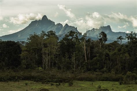 Pico da Neblina, ponto mais alto do Brasil, é destino a ser desbravado | Qual Viagem