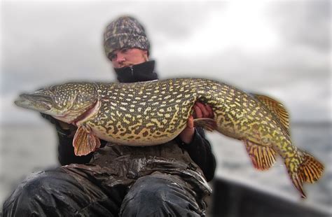 Targeting early Spring Pike | EsoxOnly | Everything about Esox Fishing!
