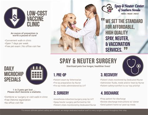 Spay & Neuter Services | The Spay & Neuter Center | Las Vegas,