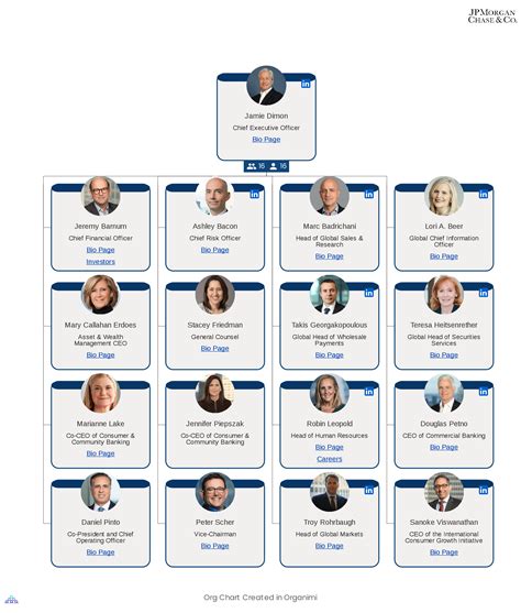 JPMorgan Chase & Co's Organizational Structure [Interactive Chart] Organimi