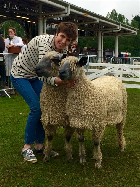 Wensleydale Sheep - Wensleydale Longwool Sheep Breeders' Assoication ...