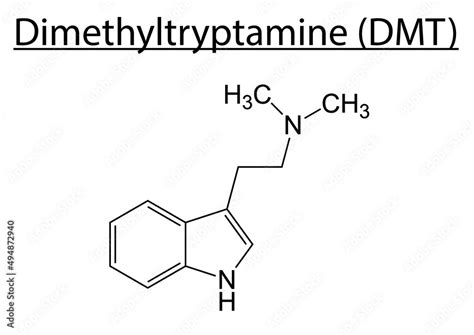 Chemical structure of Dimethyltryptamine (DMT) on a white background. Stock Vector | Adobe Stock