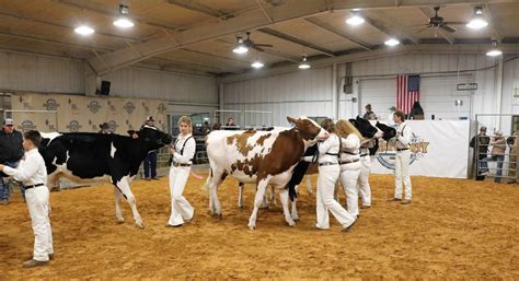 PHOTOS: 2021 Erath County Jr. Livestock Show – Dairy Cattle – The Flash Today || Erath County