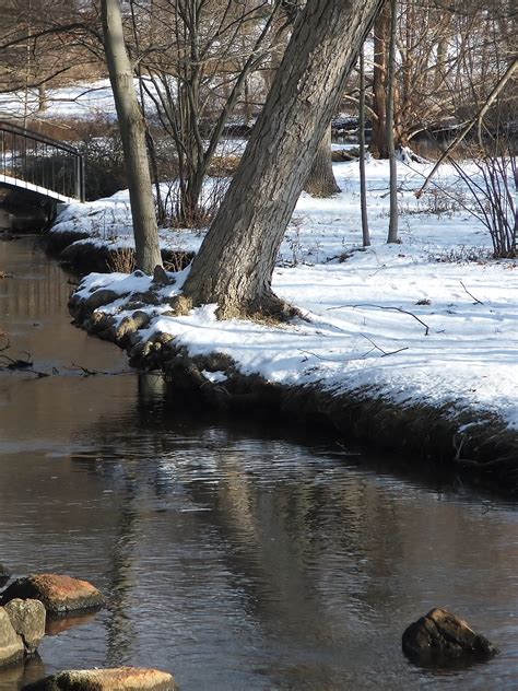 Free photo: Winter Creek - Bark, Reflection, White - Free Download - Jooinn