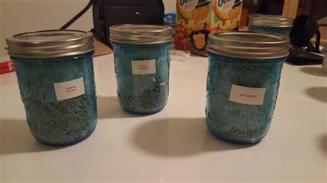 My first grow - 1 Pint Jars - inoculated Sept 24th - Mushroom ...