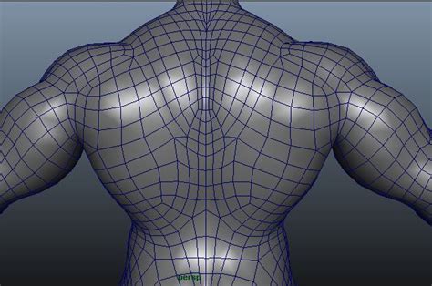 topology of human 3d - modelling, texturing, rendering, animation tutorial | Topology, Animation ...