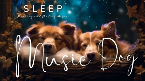 MUSIC FOR DOGS TO SLEEP ♫ RELAXING MUSIC ☆ Peaceful Sleep Music For ...