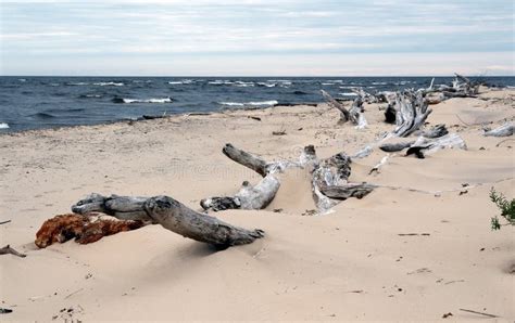 Riga Gulf Coast Near Carnikava . Latvia Stock Photo - Image of blue, beach: 120720814