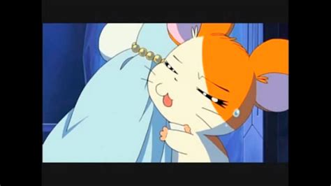 Hamtaro x Bijou (119) by cpeters1 on DeviantArt