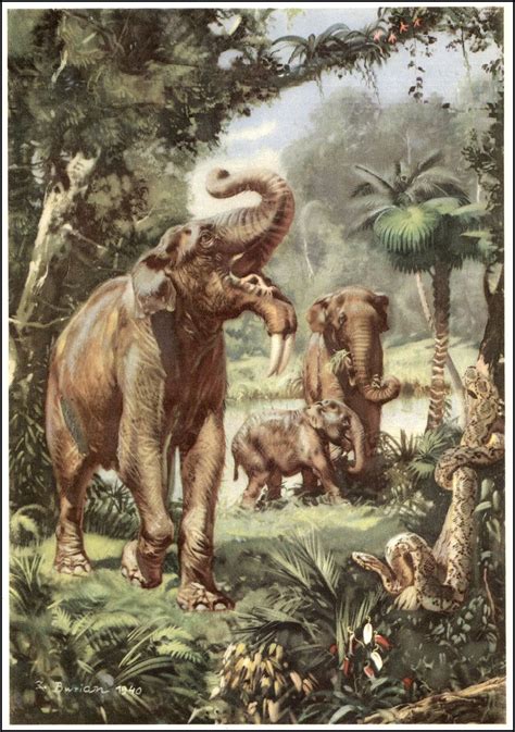 notasdecine | Prehistoric animals, Prehistoric wildlife, Ancient animals