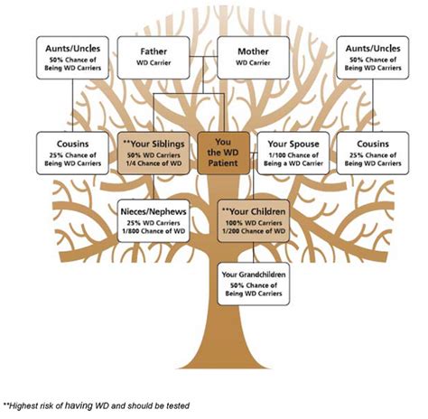 Family Genetics - Wilson Disease Association