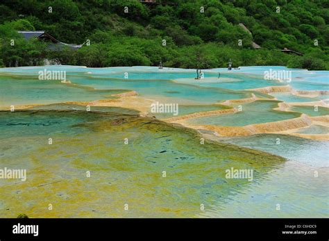 Travertine terrace pools at Huanglong Nature Reserve, an UNESCO World Heritage Site. Sichuan ...