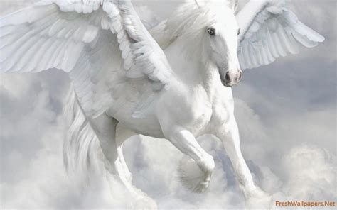 Pegasus Wallpapers - Wallpaper Cave