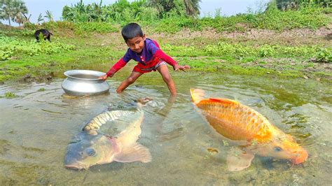 Best Hand Fishing | Amazing Boy Catching Big Fish By Hand in Pond Water - YouTube