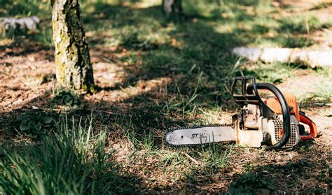 Trimming or cutting trees can be dangerous | Northeastern REMC