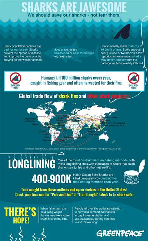 Infographic: Why We Should Save Sharks, Not Fear Them - Greenpeace USA