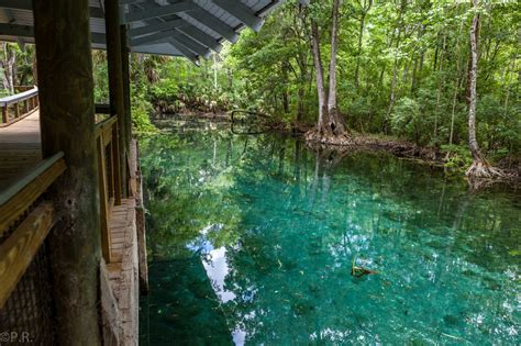 The Springs inside the Silver Springs State Park - Gate to Adventures