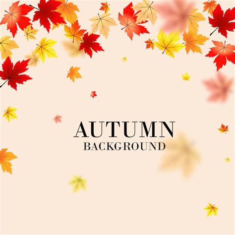 Free Vector | Cartoon autumn leaves background