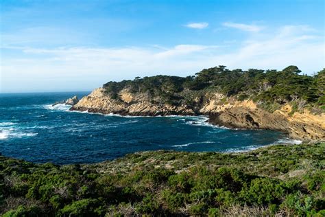 Point Lobos State Natural Reserve — ricardodeltoro.me