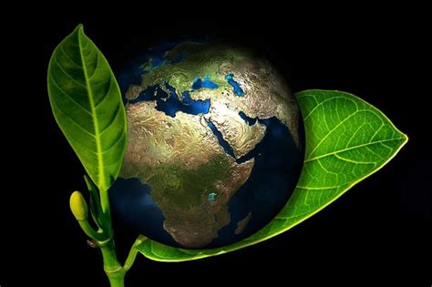 Free illustration: Earth, Globe, Birth, New, Arise - Free Image on Pixabay - 405096