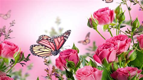 Pink Butterfly Wallpaper HD - Live Wallpaper HD