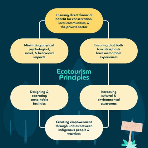 Ecotourism 101: Ecotourism Examples, Definition & Best Practices - Mize