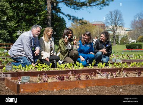 White House Kitchen Garden Planting 04050014 Stock Photo - Alamy