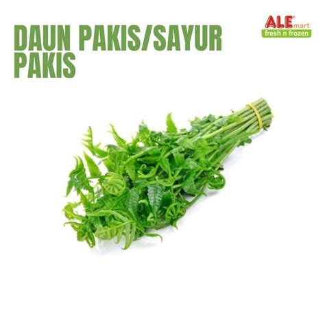 Jual Daun pakis fresh, daun pakis, sayur pakis Halal di Seller Alefruits shop - Baratajaya, Kota ...