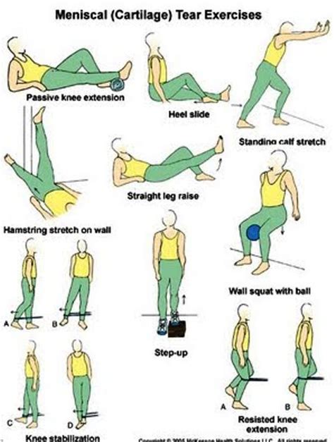 EXCLUSIVE PHYSIOTHERAPY GUIDE FOR PHYSIOTHERAPISTS: EXERCISE FOR ...