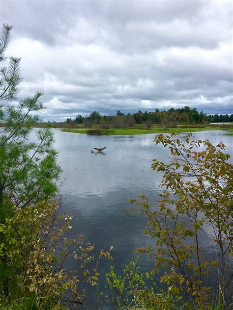 North Country Trail Michigan 35 - The Thousand Miler