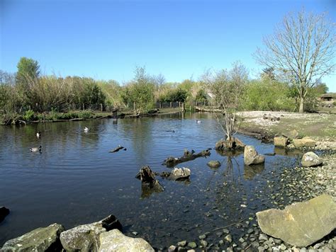 WWT Martin Mere Wetland Centre © David Dixon :: Geograph Britain and ...