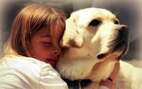 4 Important Lessons Your Dog Teaches You - Lifehack