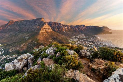 7 Best Things to Do in Cape Town, South Africa - Road Affair