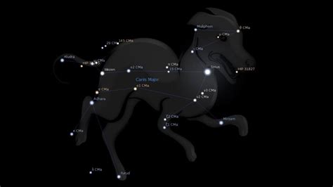 Canis Major Constellation Meaning – Astrology King