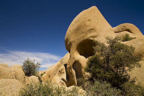 Skull Rock - Joshua Tree National Park | The skull rock is v… | Flickr