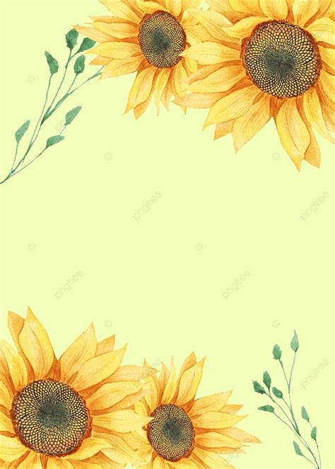 Floral Yellow Sunflower Background Wallpaper Image For Free Download - Pngtree