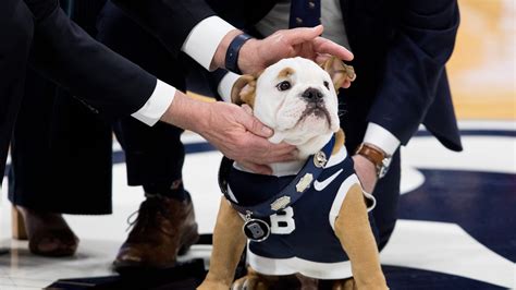 Butler Bulldogs mascot Blue IV to be mayor of March Madness 2021