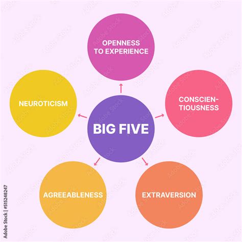 The Big Five OCEAN Personality Traits Test Infographic 素材庫向量圖 | Adobe Stock