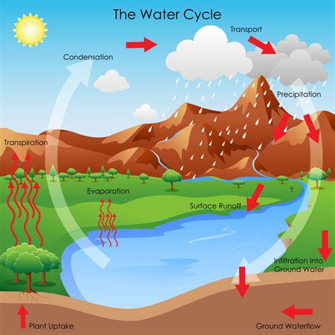 Evaporation Water Cycle