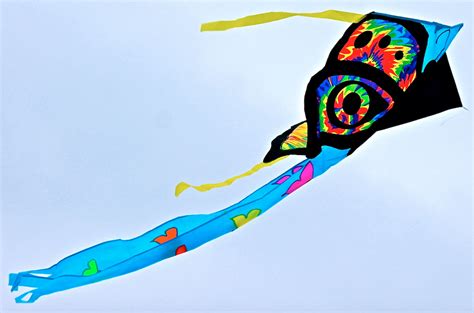 Lake Harriet Winter Kite Festival brings in crowd – TommieMedia