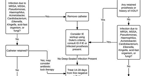 UK Trauma Protocol Manual: Bacteremia (Antimicrobial Duration and ...