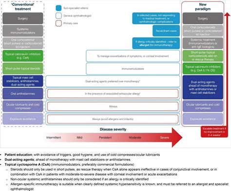 Frontiers | Diagnosis, Management, and Treatment of Vernal ...