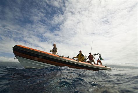 Whale-watching. Pico Island, Azores, … – License image – 70239312 lookphotos