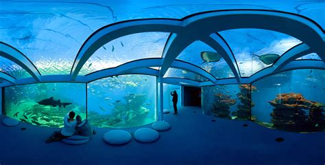 Aquarium Mallorca - aquarium komplettset ecke