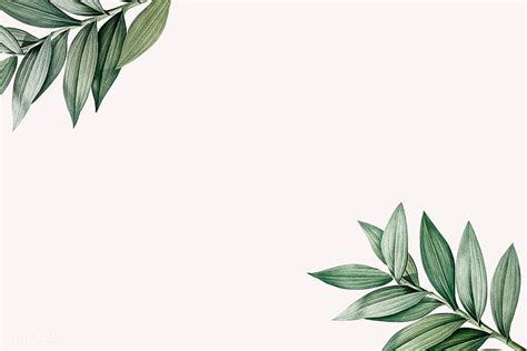 1920x1080px, 1080P Free download | Leaf Aesthetics , Tropical Aesthetic Laptop HD wallpaper | Pxfuel