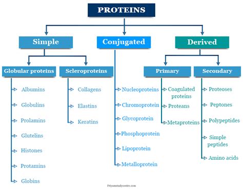 Protein - Definition, Classification, Structure