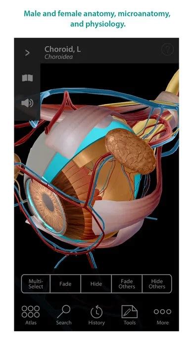 Human Anatomy Ipa App iOS Free Download - Null48